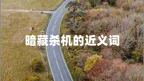 暗藏殺機的近義詞