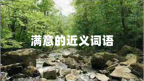 滿意的近義詞語