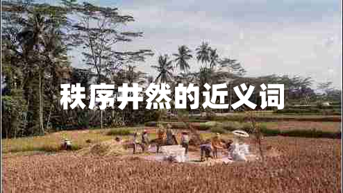 秩序井然的近義詞