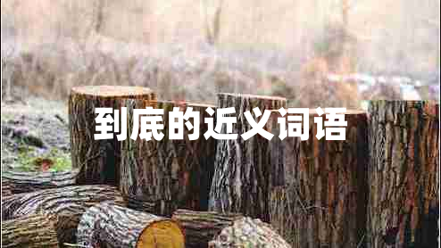 到底的近義詞語(yǔ)