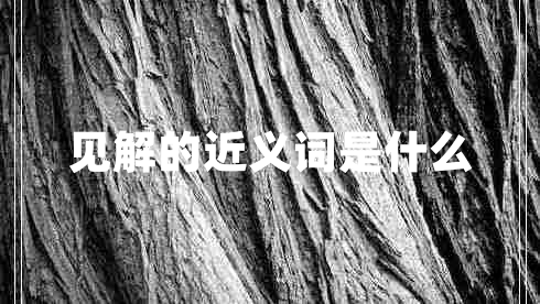 見解的近義詞是什么