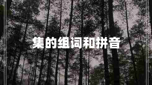 集的組詞和拼音 集的組詞和拼音