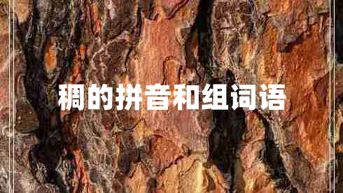 稠的拼音和組詞語