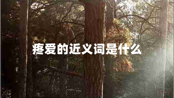 疼愛(ài)的近義詞是什么