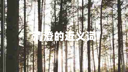 清澄的近義詞