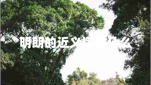 明朗的近義詞是什么