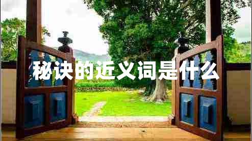 秘訣的近義詞是什么