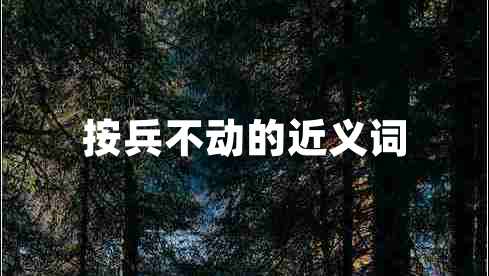 按兵不動的近義詞