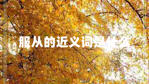 服從的近義詞是什么