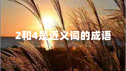 2和4是近義詞的成語