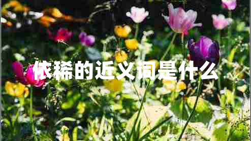 依稀的近義詞是什么