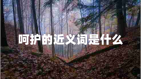 呵護(hù)的近義詞是什么