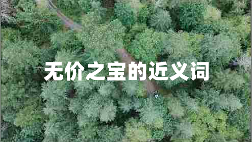 無價(jià)之寶的近義詞