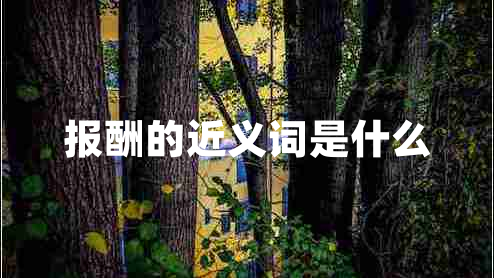 報酬的近義詞是什么