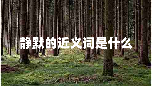 靜默的近義詞是什么