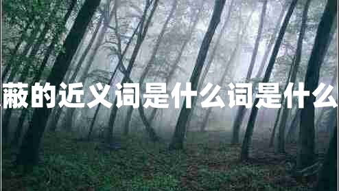 隱蔽的近義詞是什么詞是什么呢