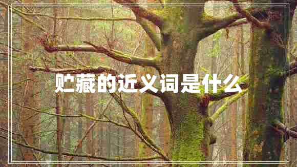 貯藏的近義詞是什么