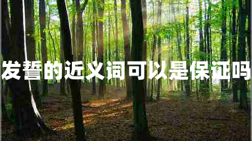 發(fā)誓的近義詞可以是保證嗎