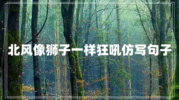 北風像獅子一樣狂吼仿寫句子