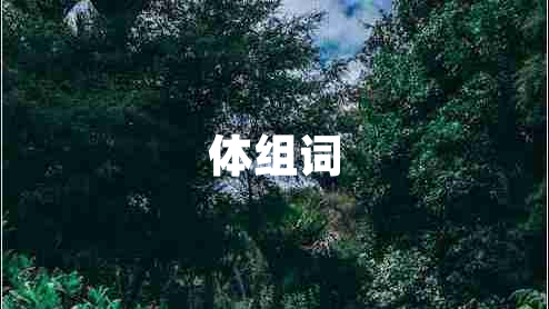 體組詞