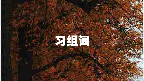 習(xí)組詞
