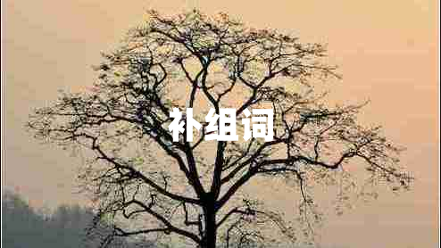 補(bǔ)組詞 補(bǔ)組詞