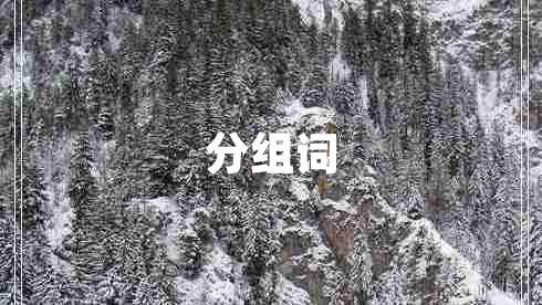 分組詞 分組詞