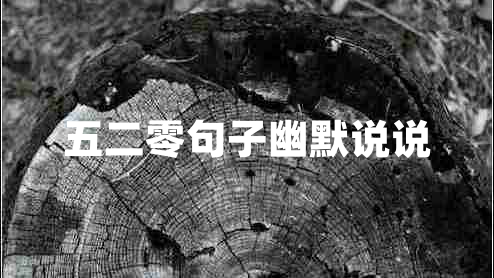 五二零句子幽默說(shuō)說(shuō)