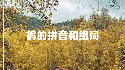 鴿的拼音和組詞