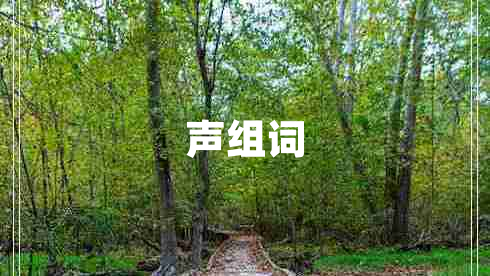 聲組詞 聲組詞