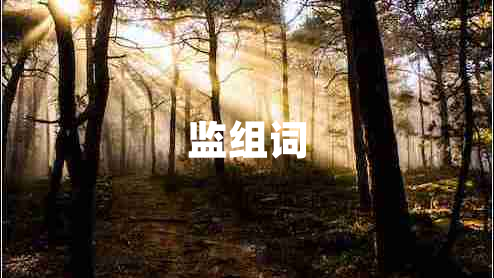 監(jiān)組詞