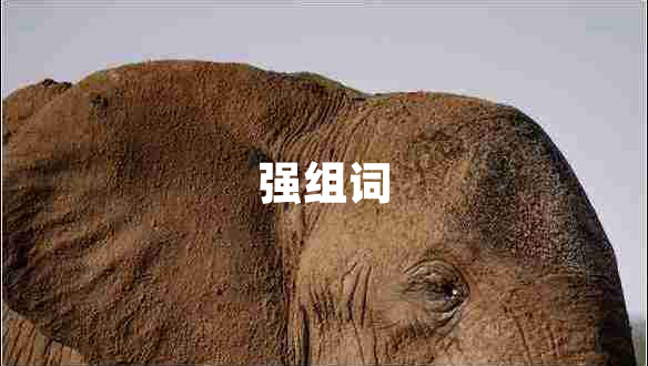 強(qiáng)組詞