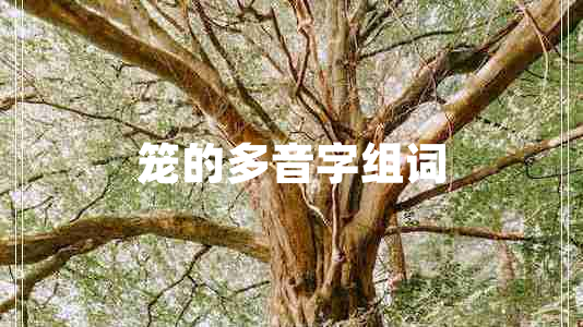 籠的多音字組詞