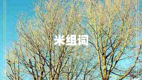 米組詞