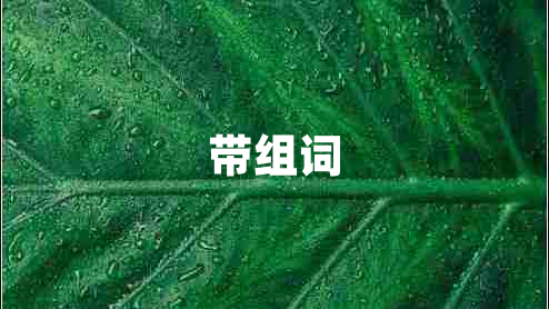帶組詞