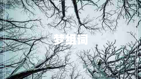 夢(mèng)組詞 夢(mèng)組詞