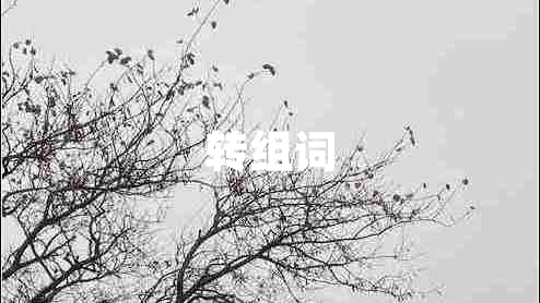 轉(zhuǎn)組詞