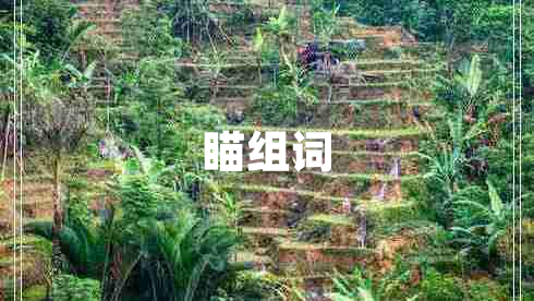 瞄組詞