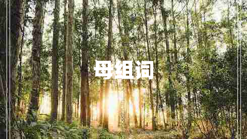母組詞