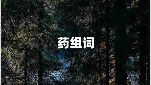 藥組詞