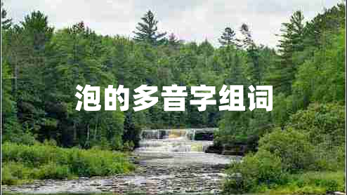 泡的多音字組詞