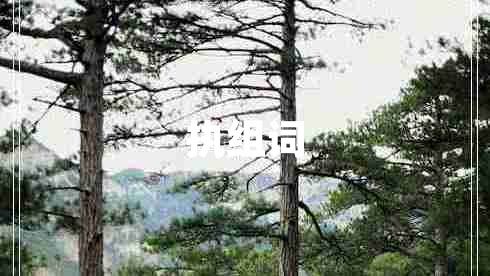 執(zhí)組詞 執(zhí)組詞