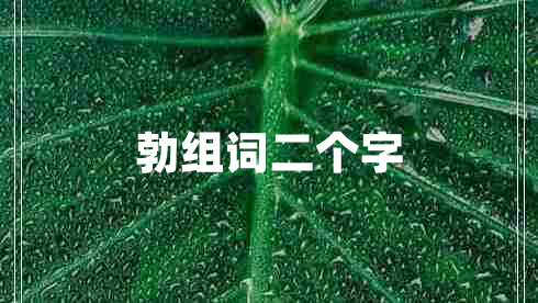 勃組詞二個字