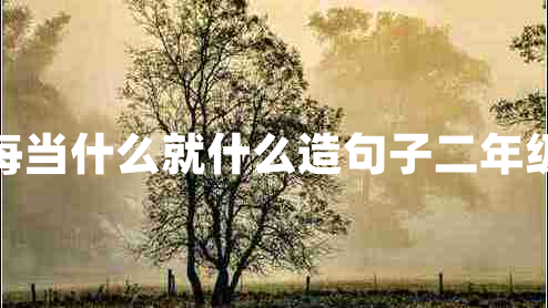 每當(dāng)什么就什么造句子二年級(jí) 每當(dāng)什么就什么造句子二年級(jí)