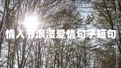 情人節(jié)浪漫愛情句子短句