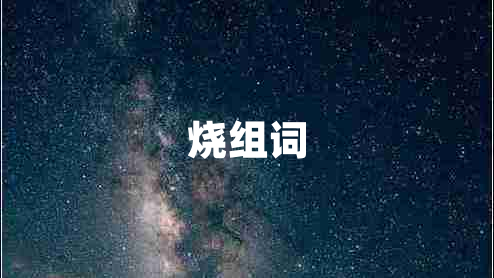 燒組詞