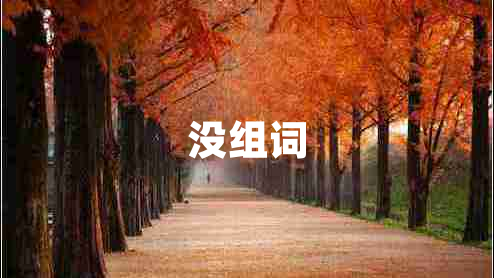 沒組詞