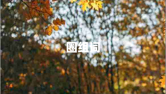 圈組詞