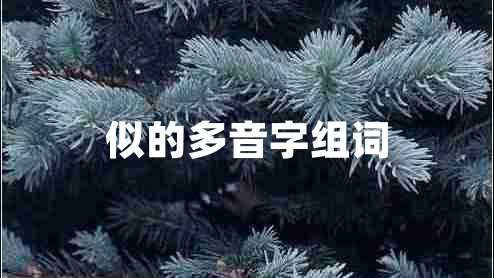 似的多音字組詞 似的多音字組詞