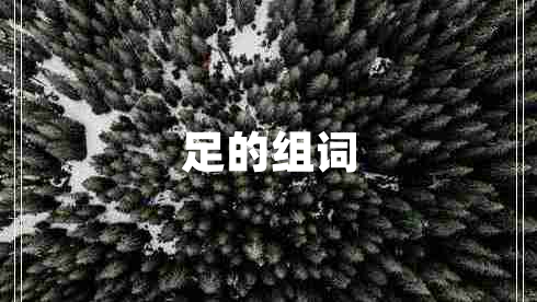 足的組詞 足的組詞